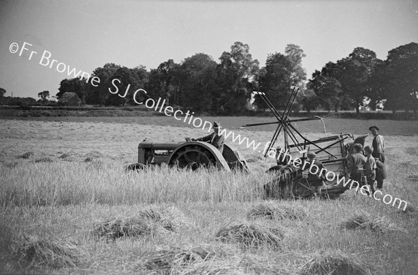 IN THE HARVEST FIELD OFF SHE GOES